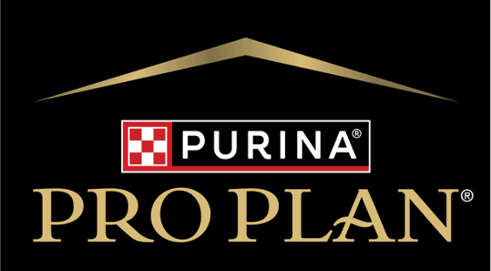 Pro Plan