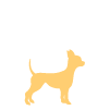 câine mic