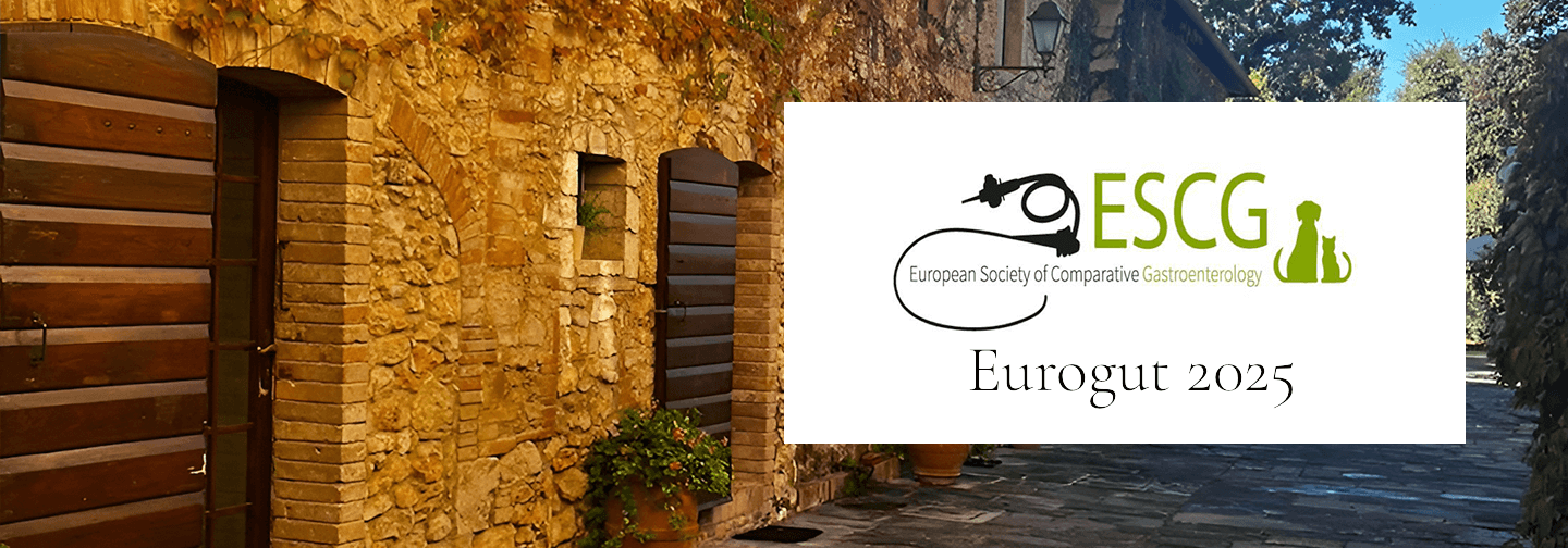 Eurogut 2025