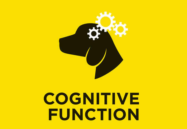 Funcția cognitivă
