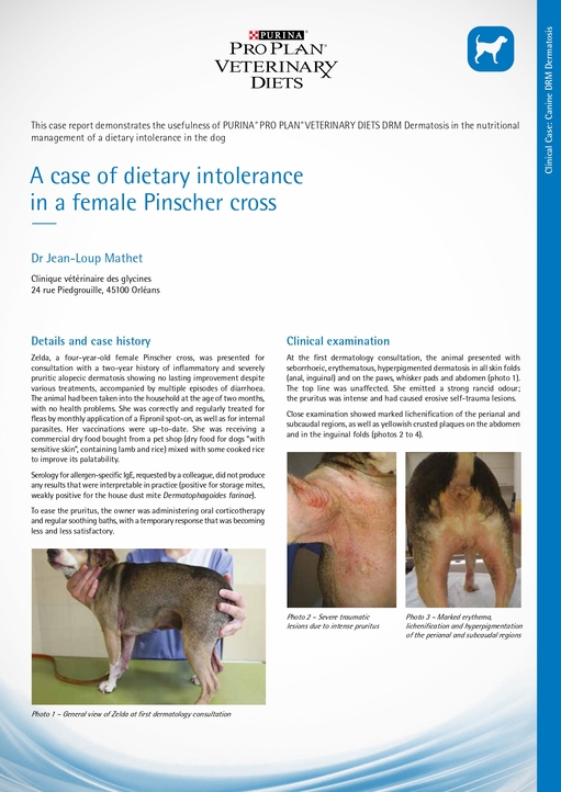 Material 17_PPVD_Canine_DRM_Case_Study_Dietary_Intolerance_20_0.jpg