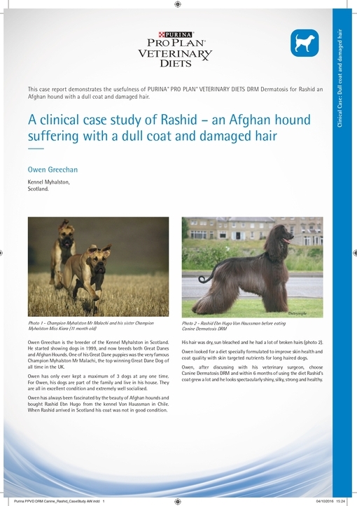 Material 19_PPVD_Canine_DRM_Case_Study_Rashid_18_0.jpg
