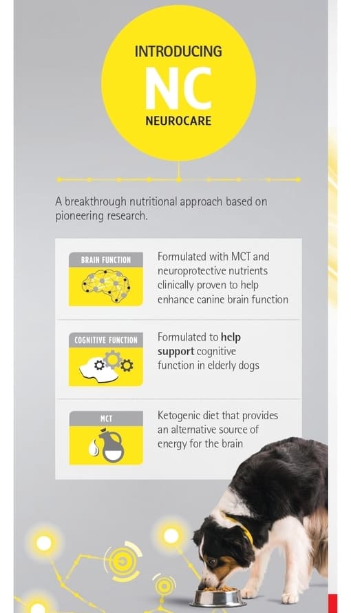 Material 37_PPVD_NeuroCare_Leaflet_Brain_Health_DL_Range_Packs_25.jpg Material 37_PPVD_NeuroCare_Leaflet_Brain_Health_DL_Range_Packs_25.jpg