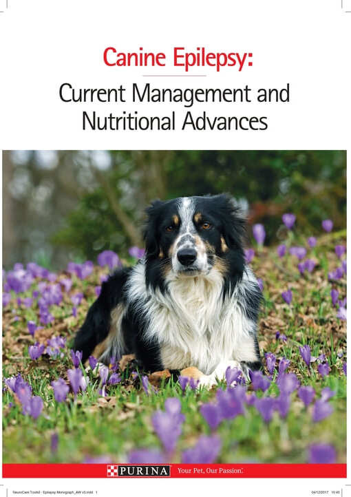 Material 45_PPVD_NeuroCare_Toolkit_Epilepsy_Monograph_25.jpg Material 45_PPVD_NeuroCare_Toolkit_Epilepsy_Monograph_25.jpg
