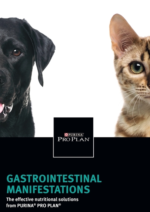 Material 66_GI&FF_Vet Sales Presenter_1.jpg