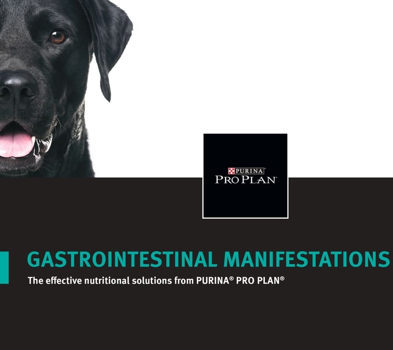Material 67_GI&FF_Product Brochure.jpg