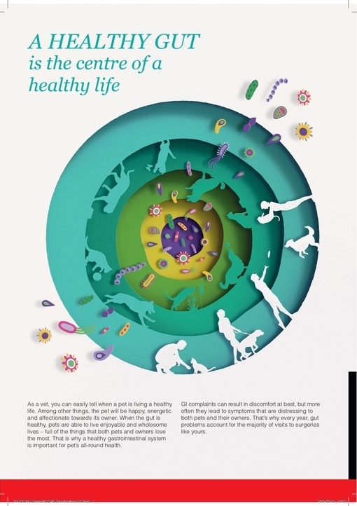 Material 70_GI&FF_Vet Advertorial_0.jpg