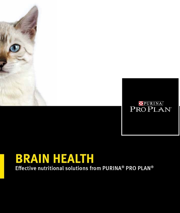 Material 73_Cognition_Product Brochure_0.jpg Material 73_Cognition_Product Brochure_0.jpg