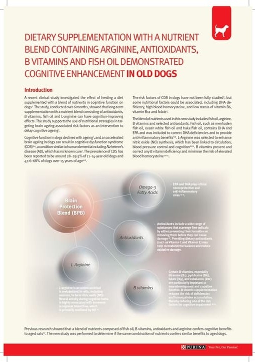 Material 78_Brain Protection Blend study by Gary Pan_0.jpg Material 78_Brain Protection Blend study by Gary Pan_0.jpg
