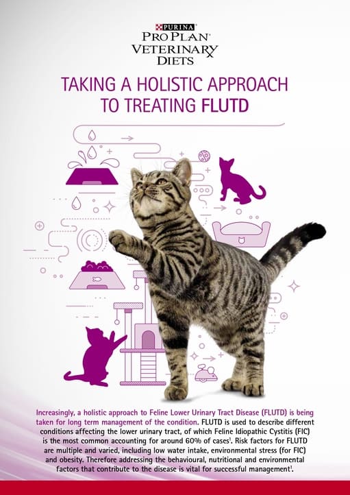 Material 80_Urinary_Vet Advertorial.jpg Material 80_Urinary_Vet Advertorial.jpg