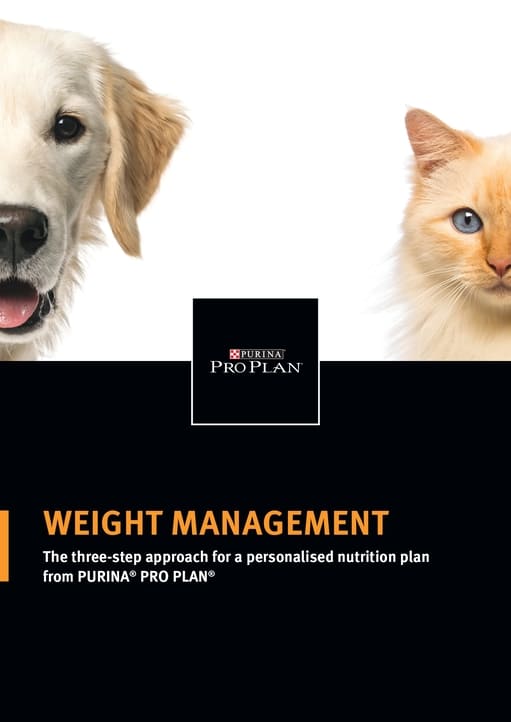 Material 85_Healthy Love_Obesity 2.0_Vet Sales Presenter.jpg Material 85_Healthy Love_Obesity 2.0_Vet Sales Presenter.jpg